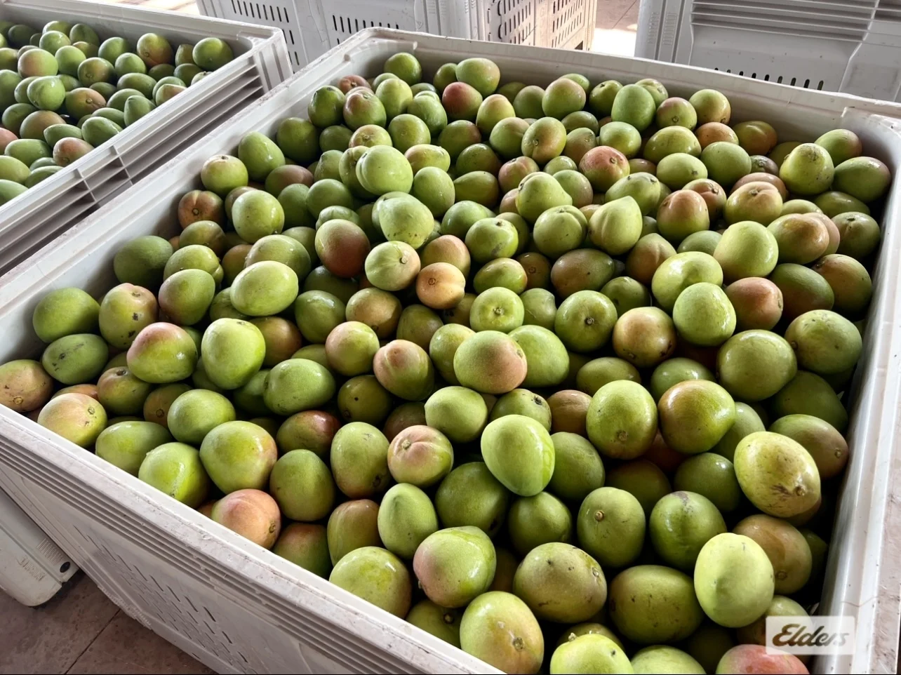 Additional image 22 of 125 Buckley Road, Lambells Lagoon NT 0822