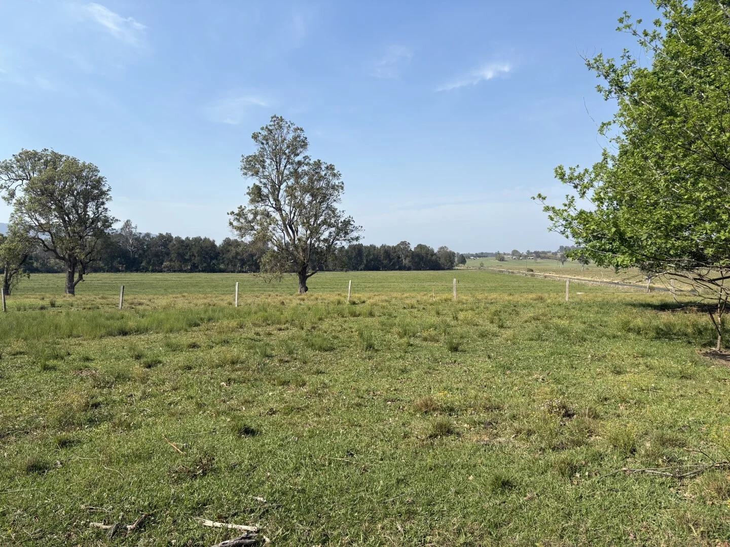 Additional image 30 of 15754 Clarence Way, Bonalbo NSW 2469