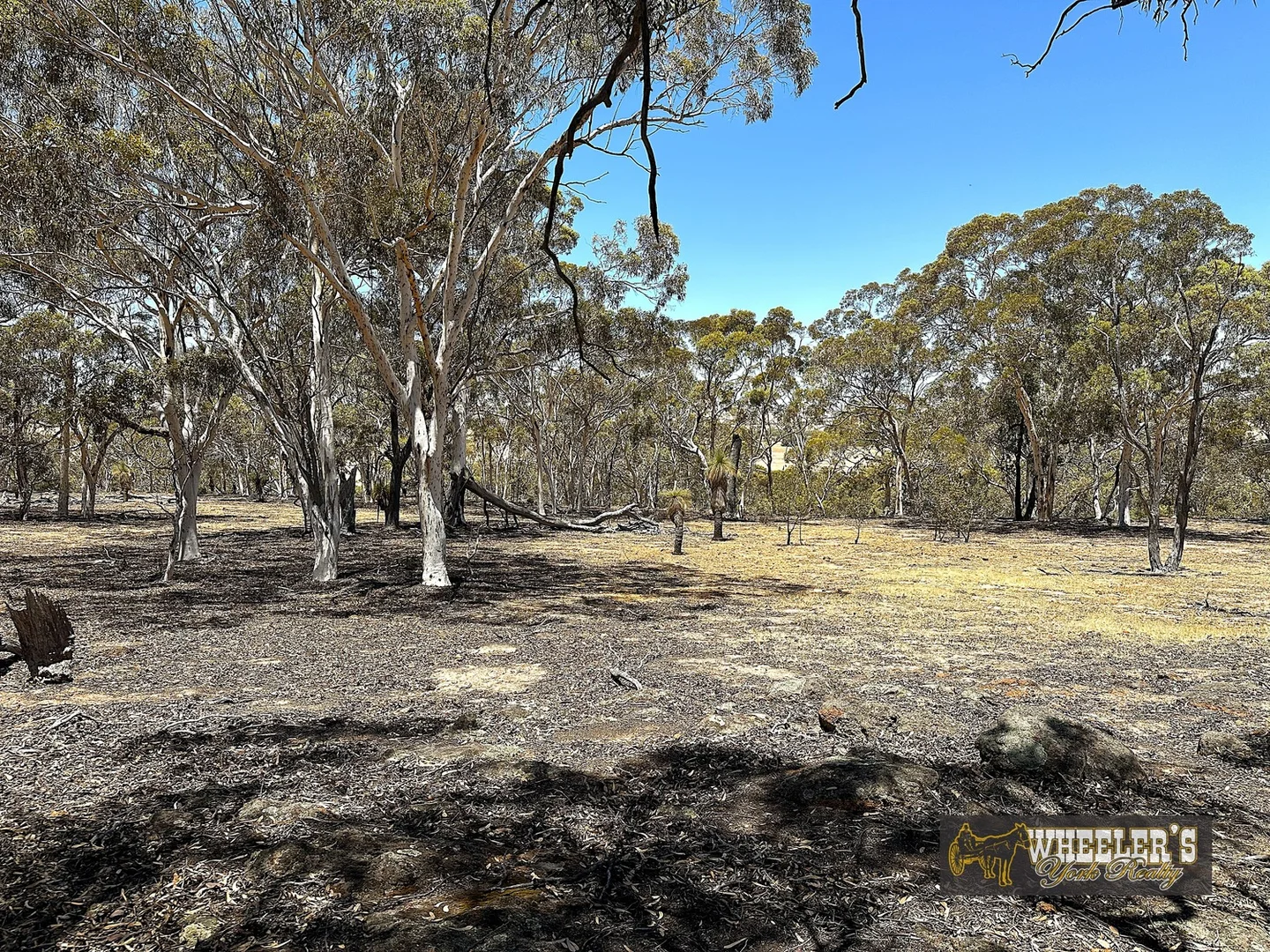 Additional image 20 of York WA 6302