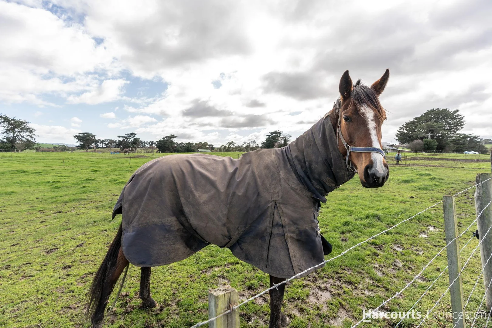 Additional image 34 of 251-259 Alanvale Road, Newnham TAS 7248