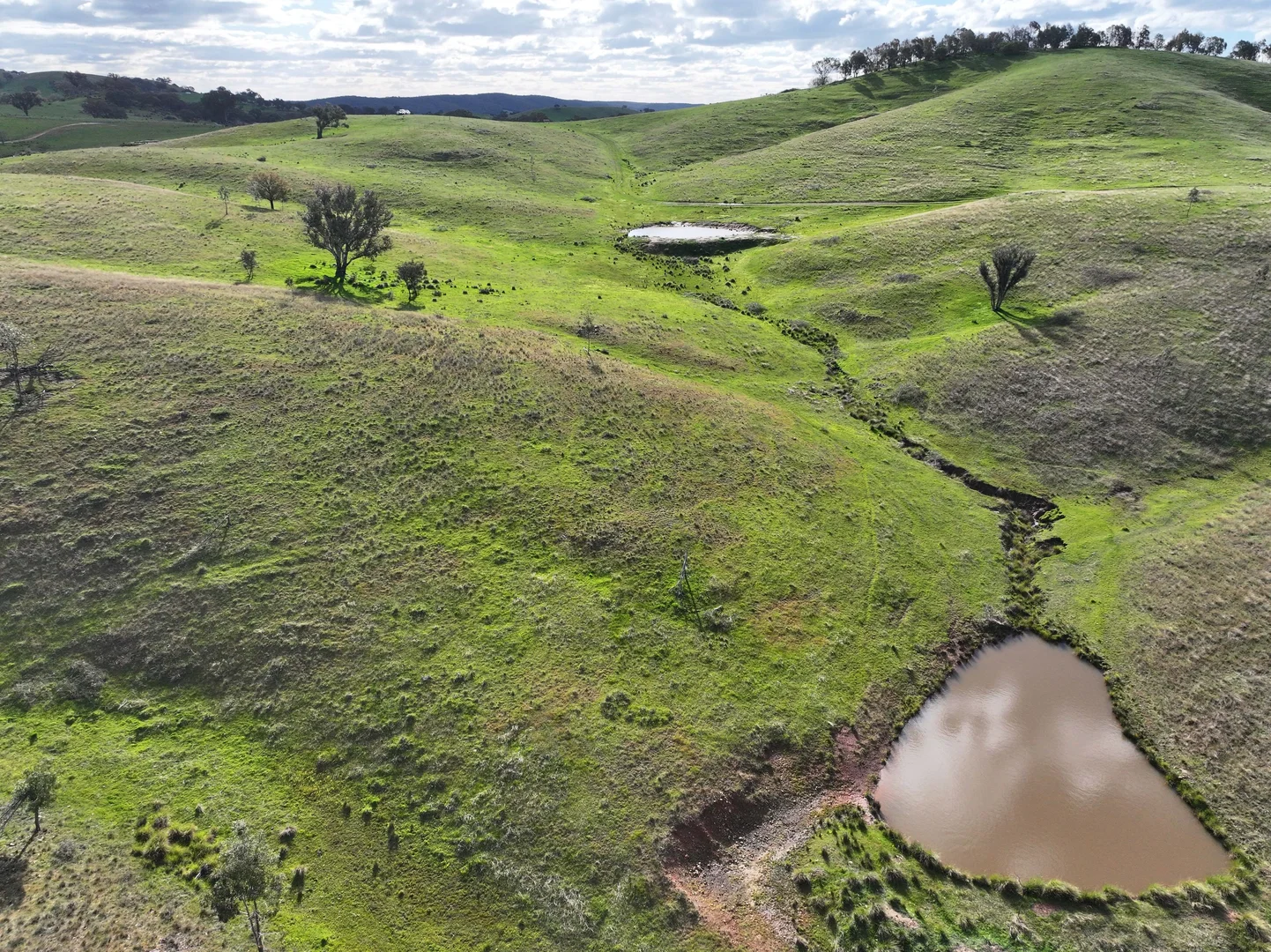 Additional image 11 of 'Rosewood' 850 Pulletop Road, Big Springs NSW 2650