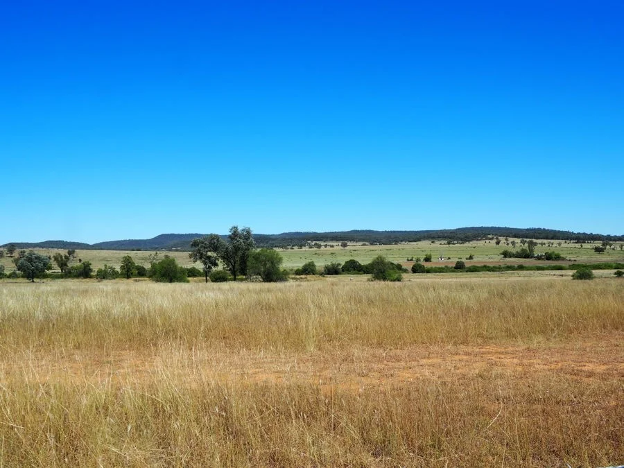 Additional image 8 of Warialda Rail NSW 2402