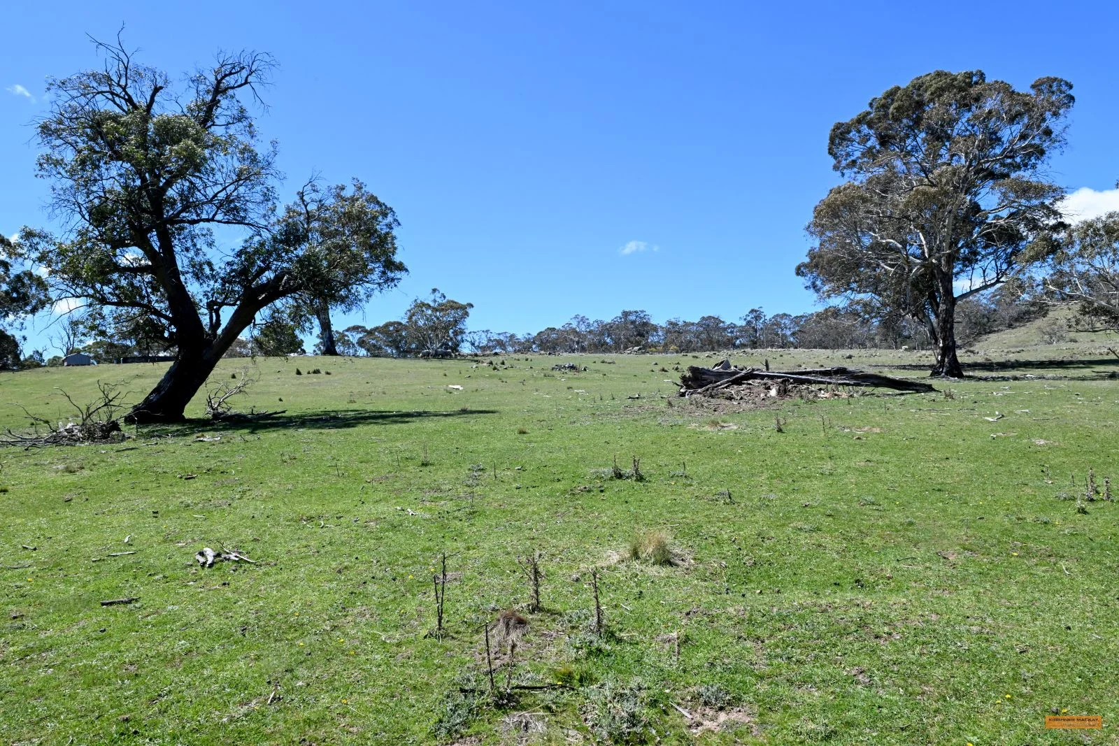 Additional image 18 of "King's Ridge" 698 Avonside Road, Avonside NSW 2628