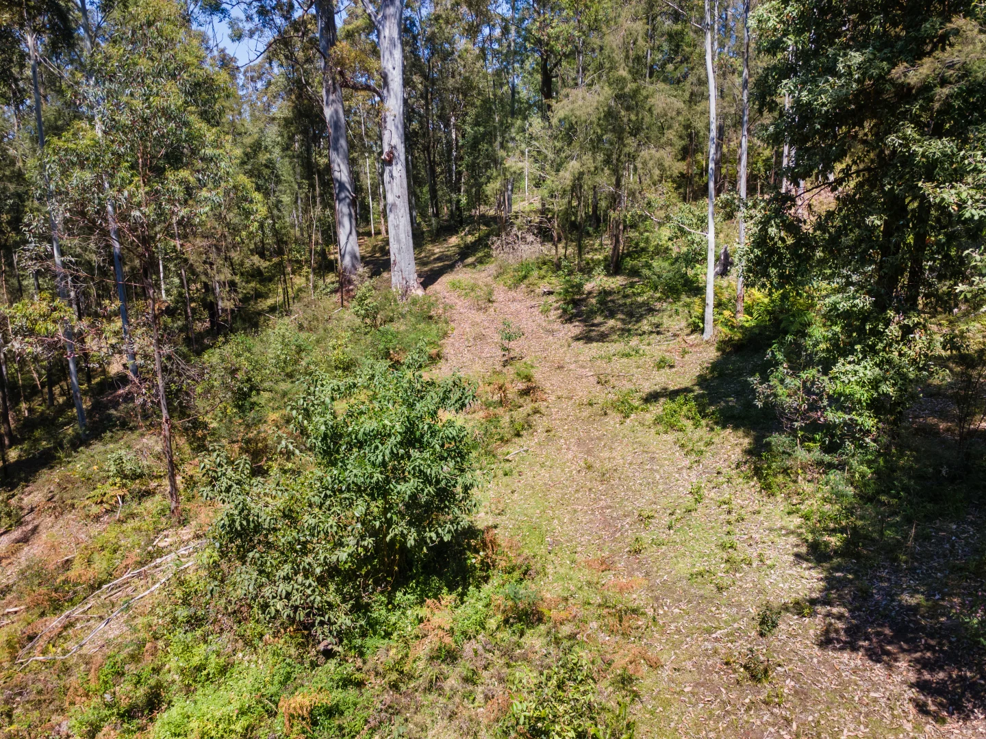 Additional image 5 of 1058 Bakers Road, Putty NSW 2330