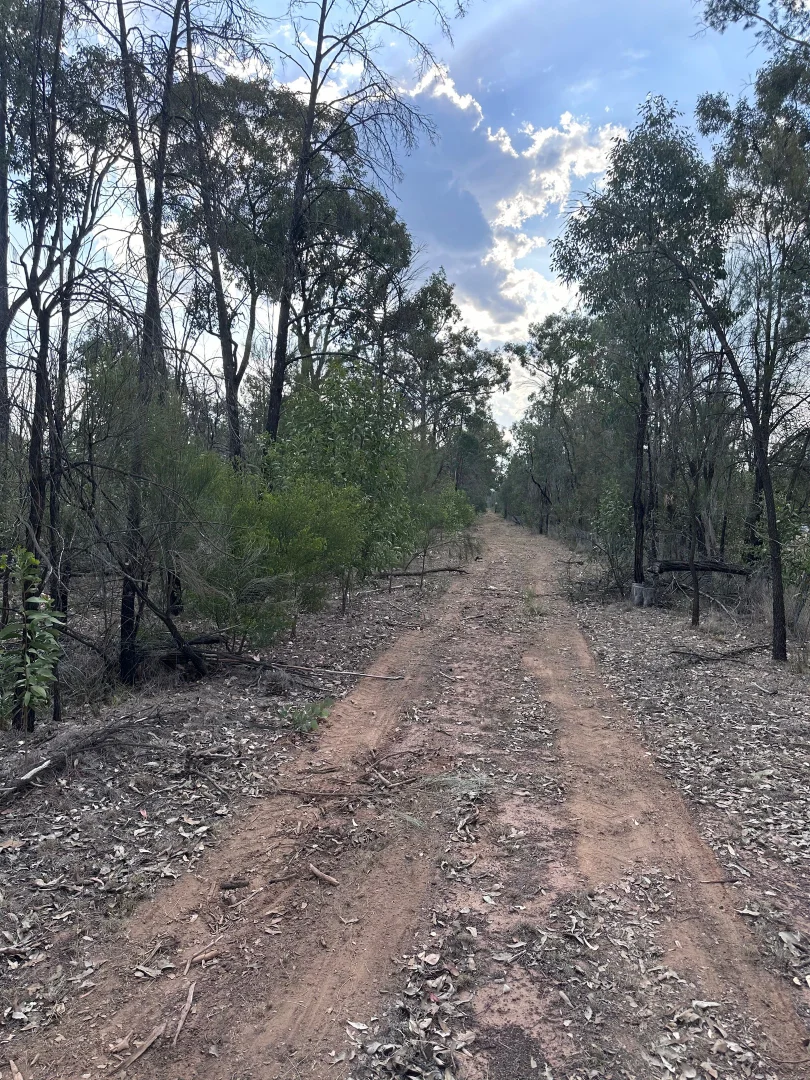 Additional image 14 of 15778 Surat Development Road, Goranba QLD 4421