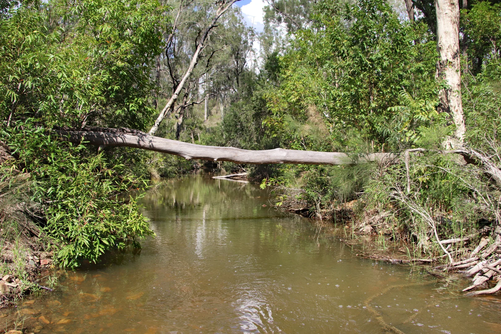 Additional image 11 of 513 Norton Road, Boynedale QLD 4680