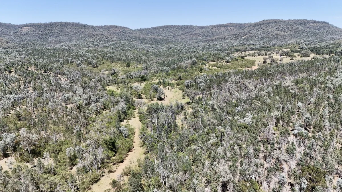 Additional image 19 of 957 Killarney Gap Road, Bingara NSW 2404
