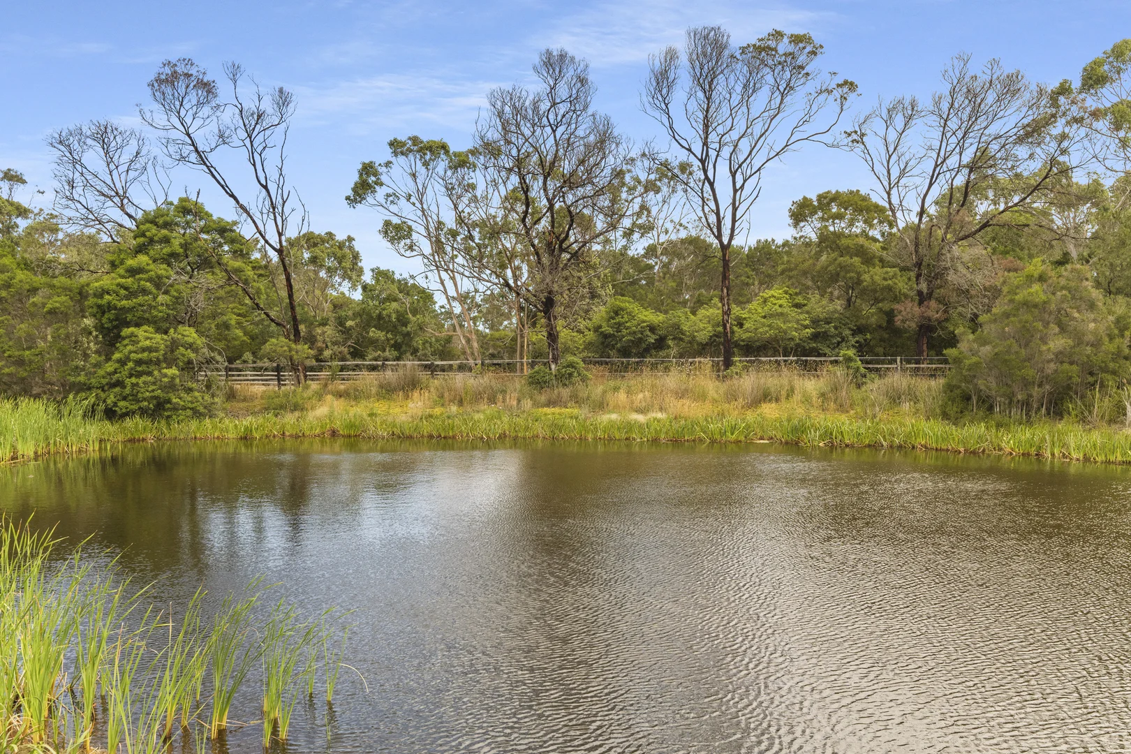 Additional image 26 of 100 Bittern-Dromana Road, Balnarring VIC 3926