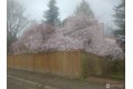 Additional image 36 of 8129 NE 131st St, Kirkland, WA, 98034
