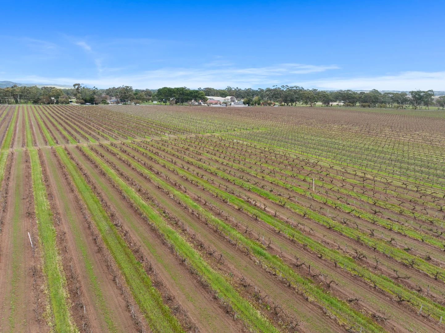Additional image 11 of Lot 351 Angaston Road, Nuriootpa SA 5355
