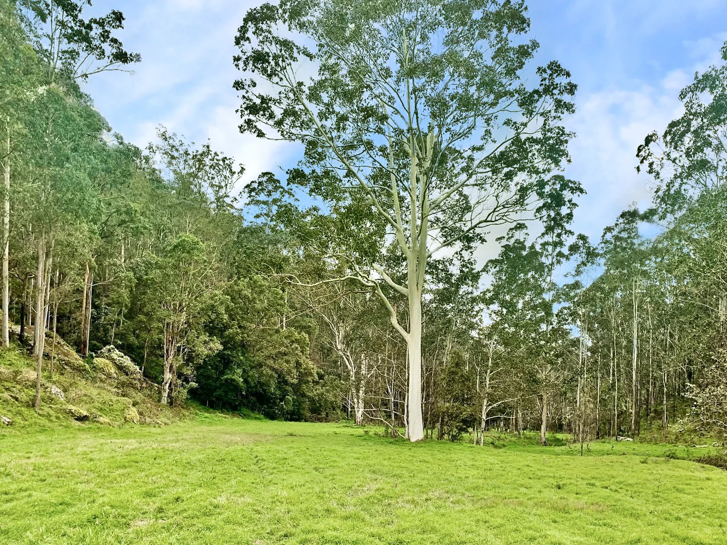 Additional image 30 of 2299 Wollombi Road, Sweetmans Creek NSW 2325