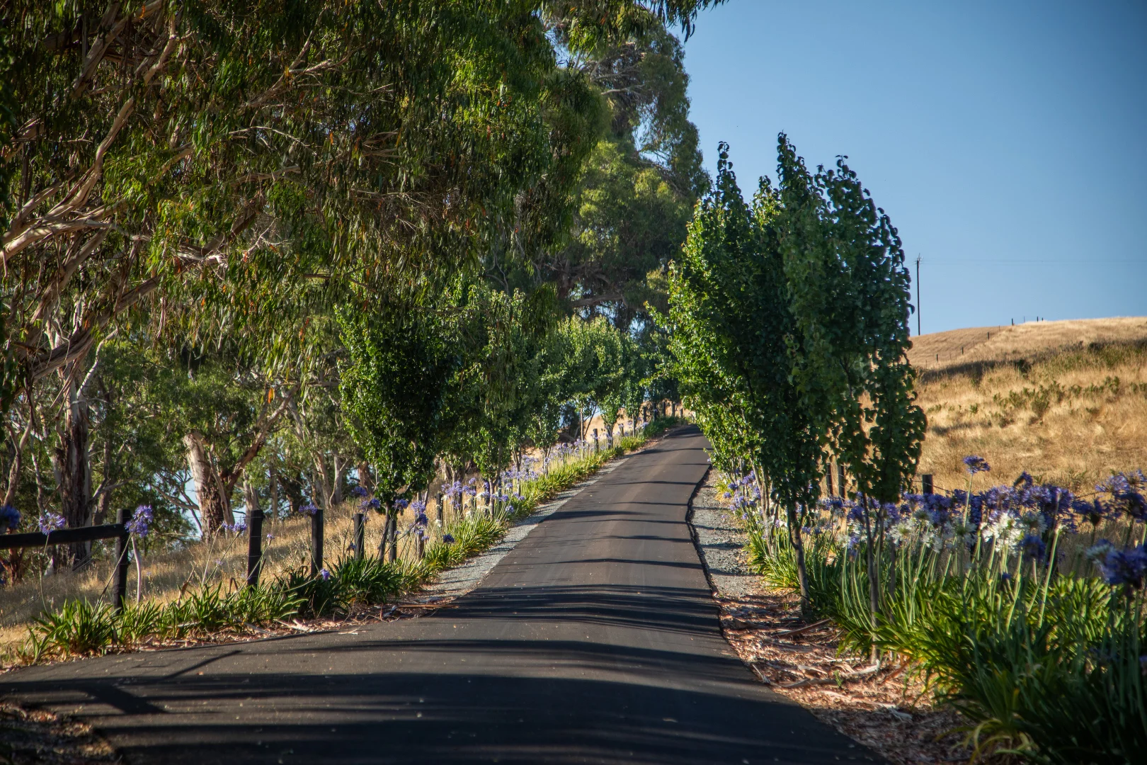 Additional image 36 of 2429A Greenhill Road, Balhannah SA 5242