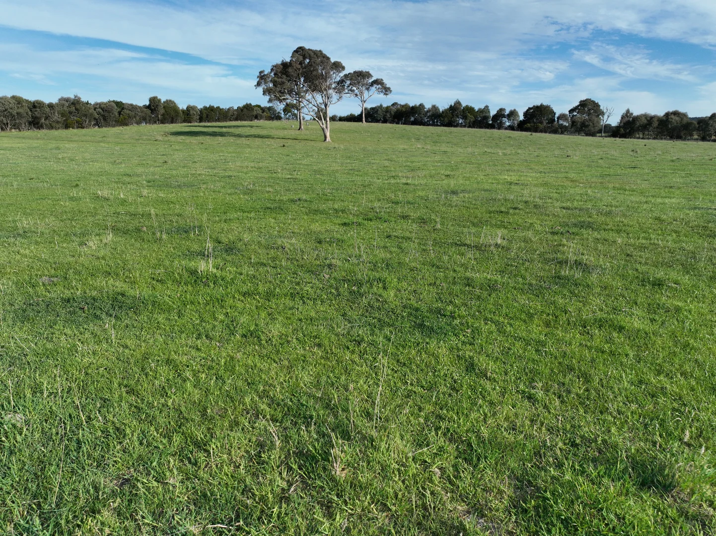 Additional image 9 of 'McCrystal', Lot 3 Lade Vale Road, Gunning NSW 2581