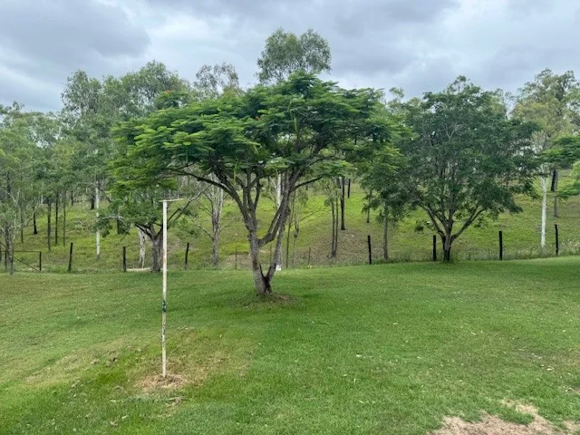 Additional image 17 of 142 PERRY RIVER FARMS RD, Morganville QLD 4671