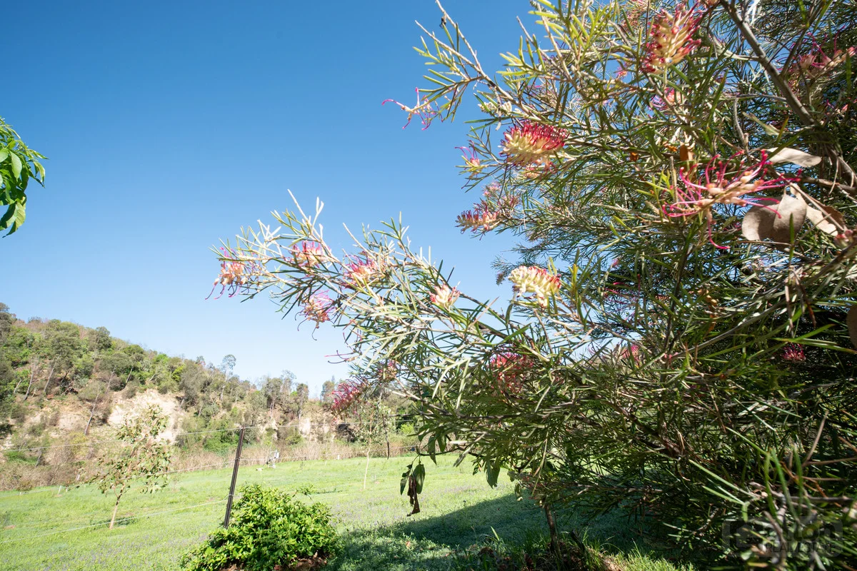 Additional image 34 of 41 Spinnach Creek Road, Fordsdale QLD 4343