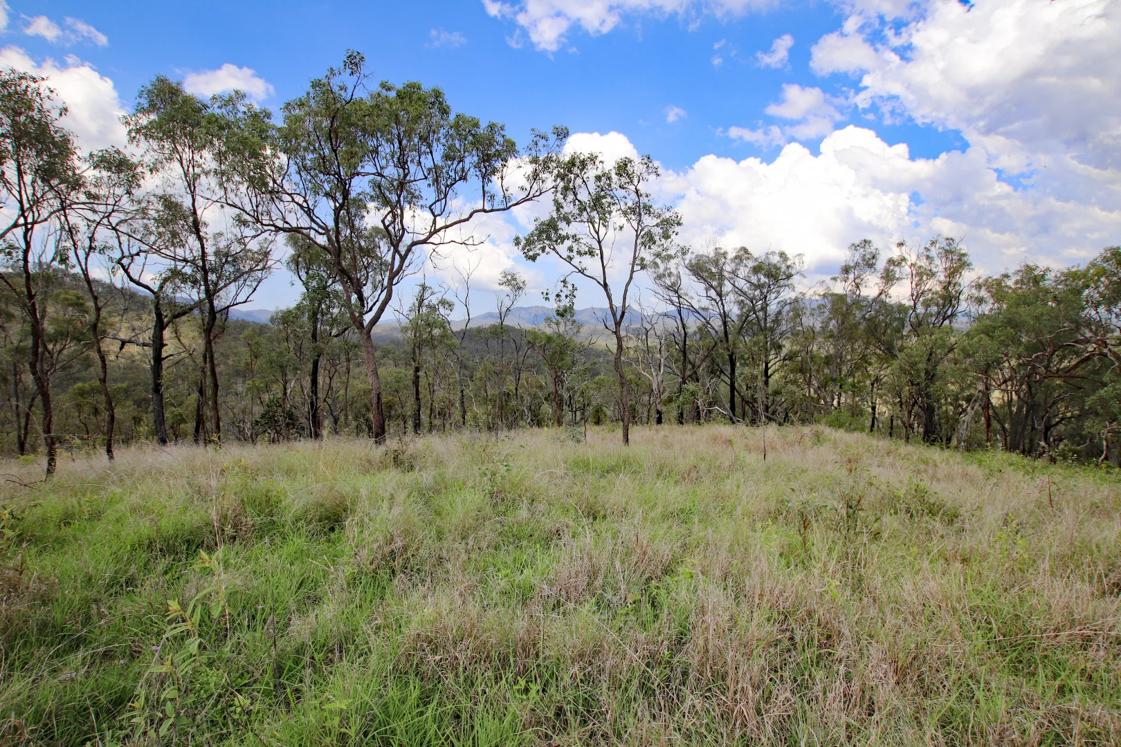 Additional image 10 of 513 Norton Road, Boynedale QLD 4680