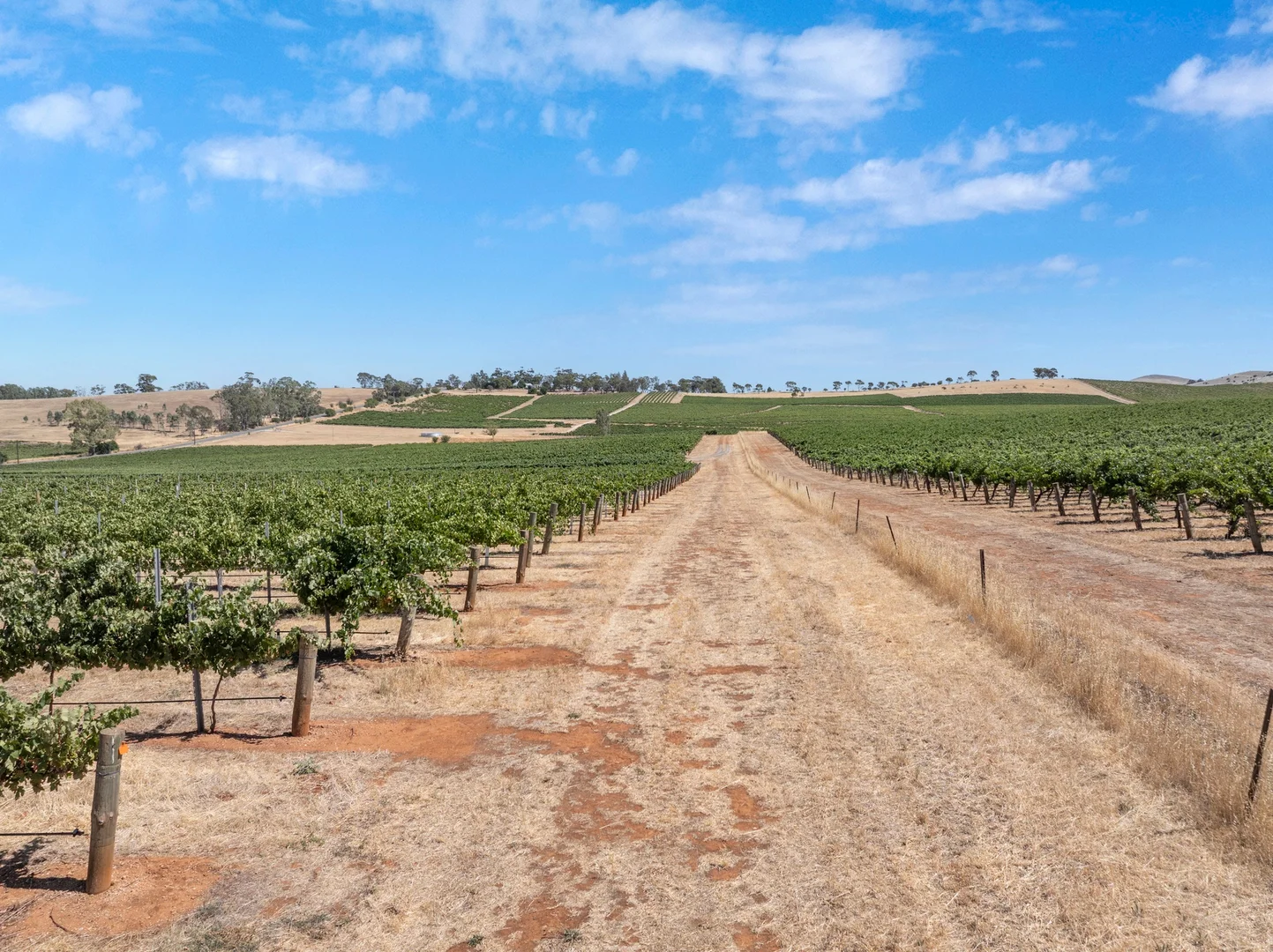 Additional image 30 of Lot 20 Spring Farm Road, Spring Farm SA 5453