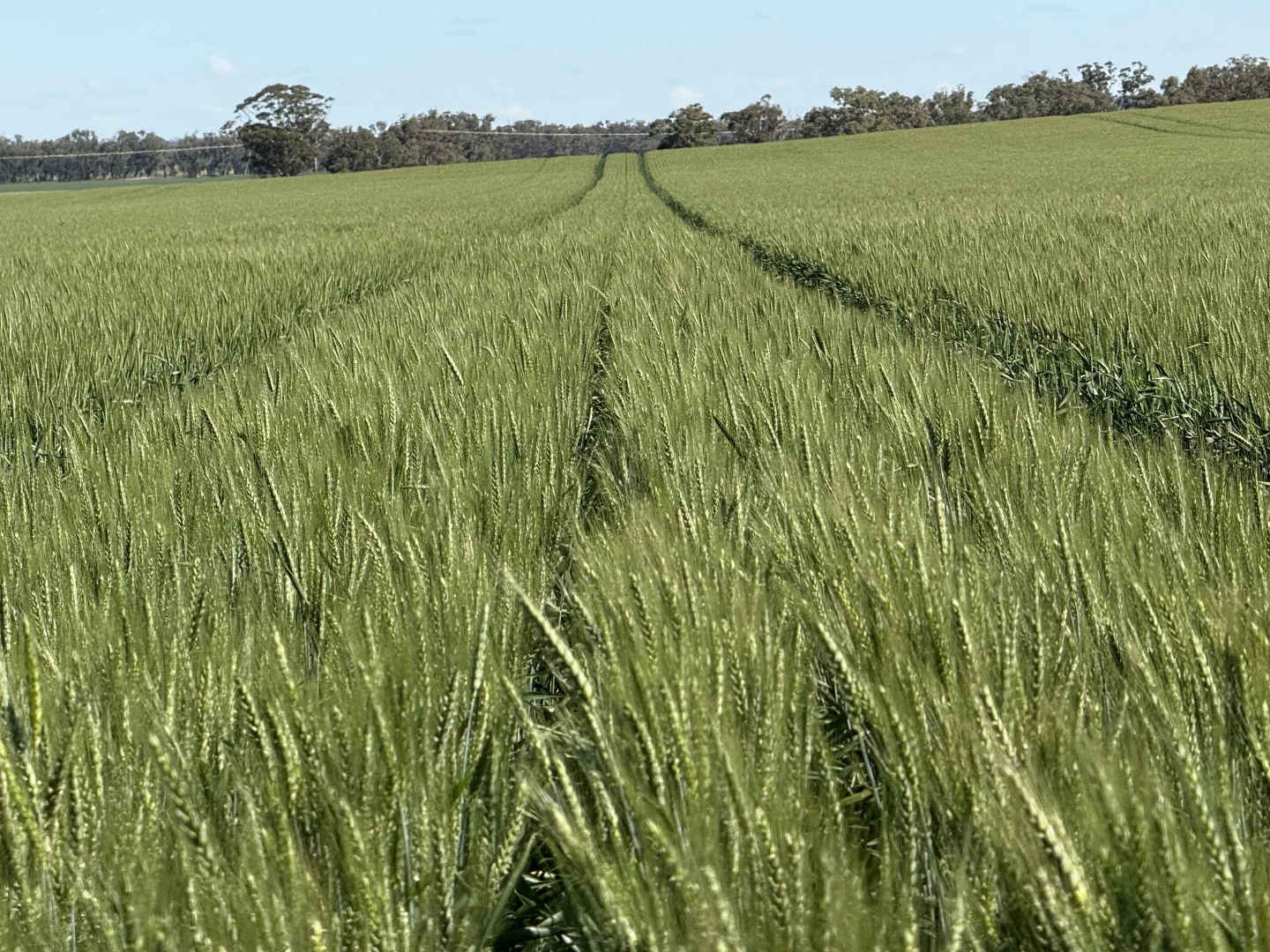 Additional image 2 of 861 Kadina Road, Parkes NSW 2870