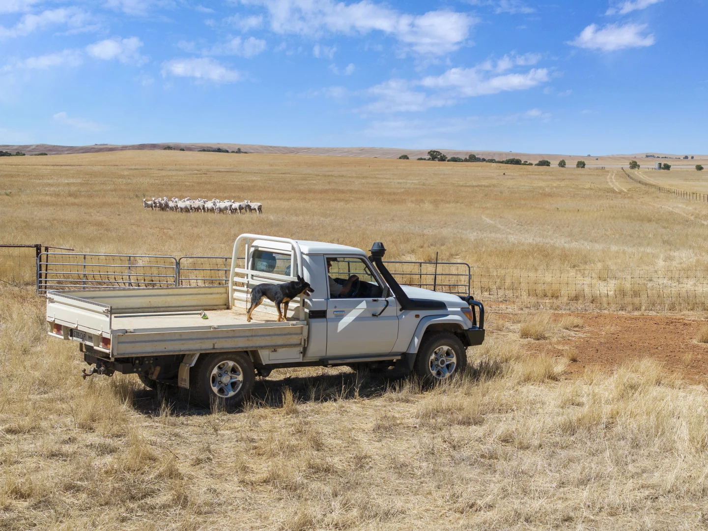 Additional image 4 of 'Klingers' Frost Road, Mannanarie SA 5422