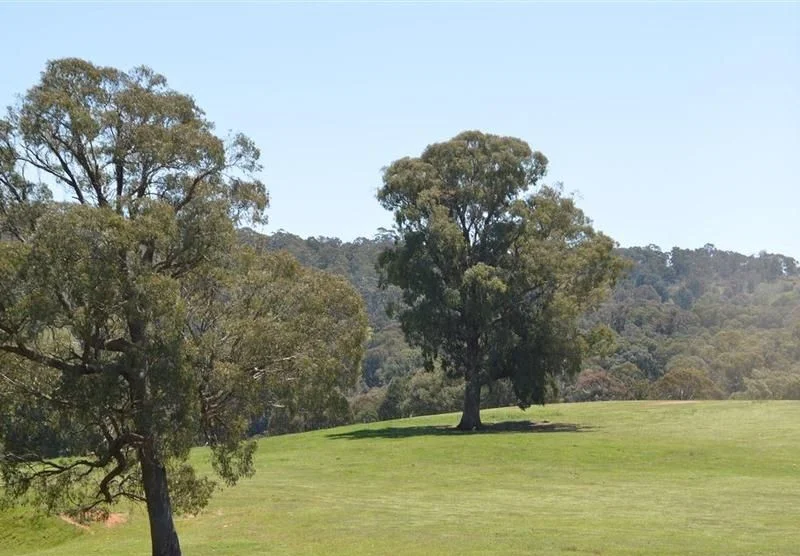 Additional image 3 of 95 Bago Forest Road, Tumbarumba NSW 2653