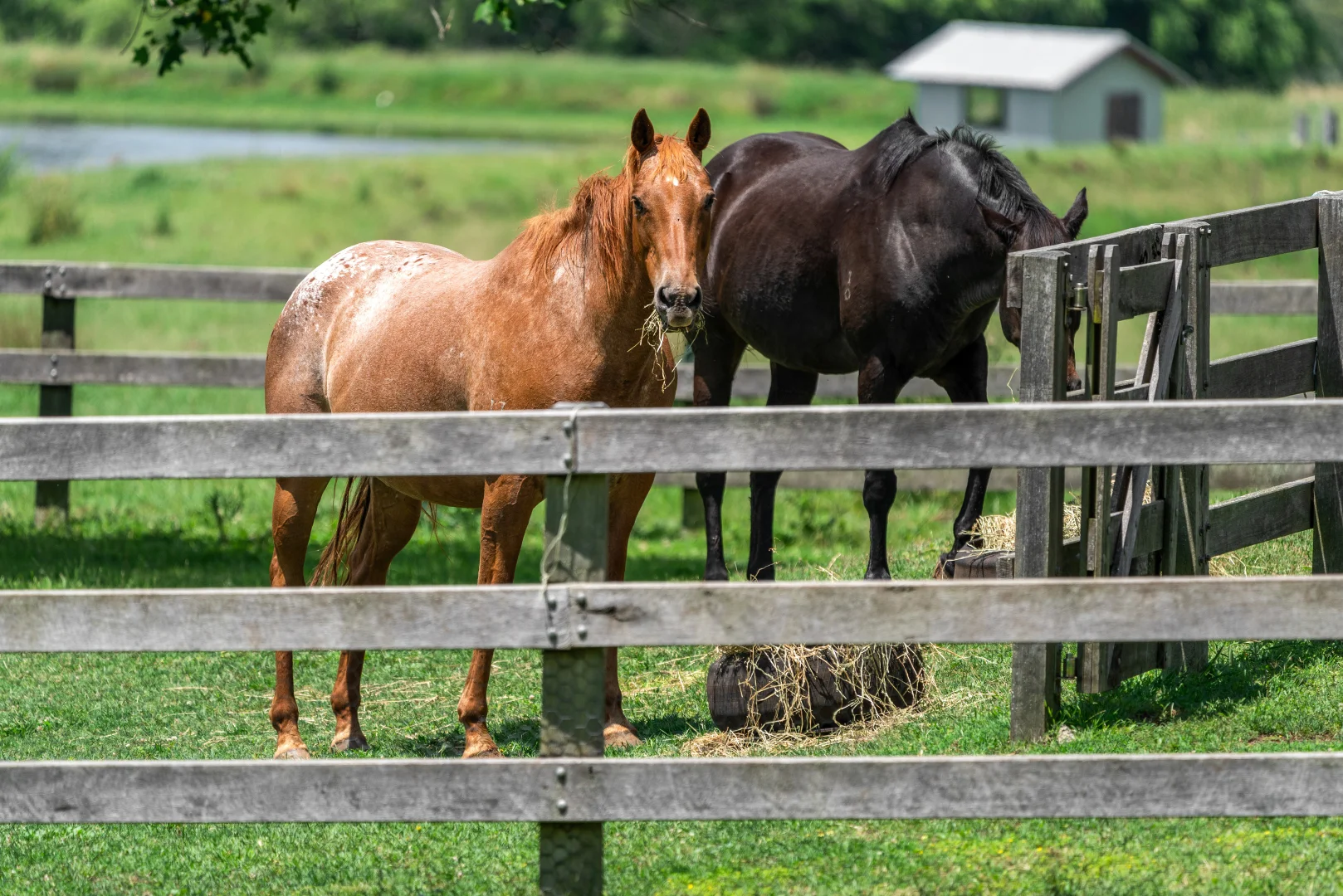 Additional image 12 of Glenquarry NSW 2576
