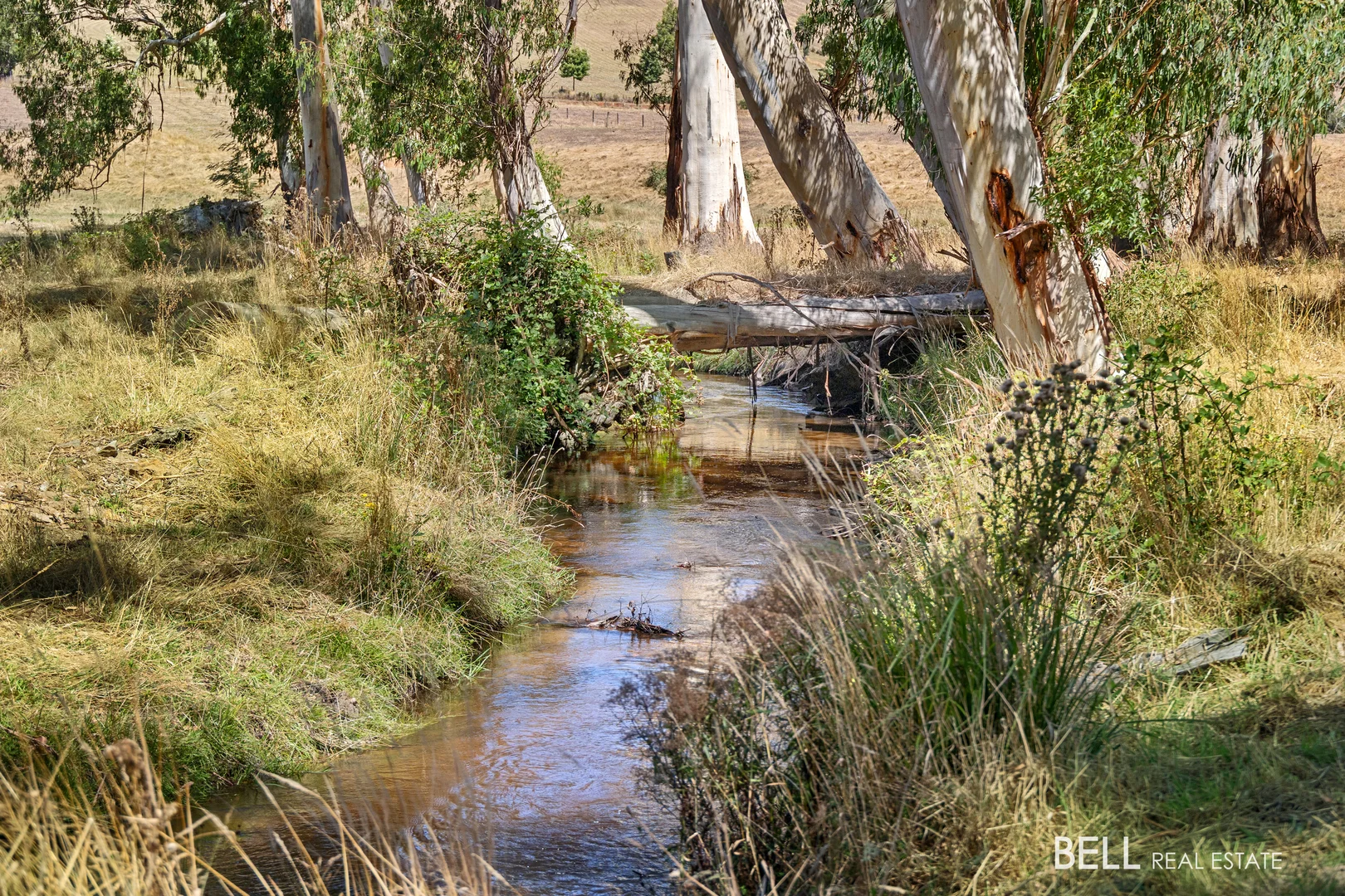 Additional image 13 of 1115 Little Yarra Road, Three Bridges VIC 3797