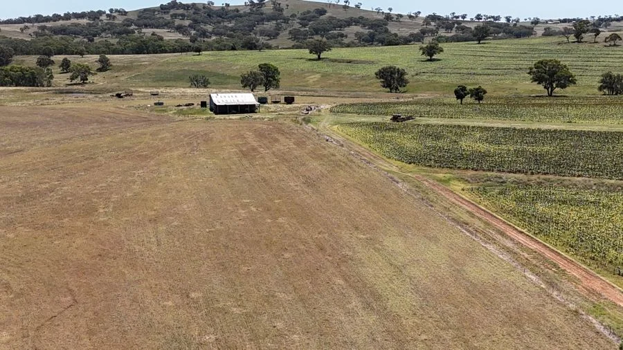 Additional image 8 of 190 BROWN SPRINGS ROAD, Coolah NSW 2843