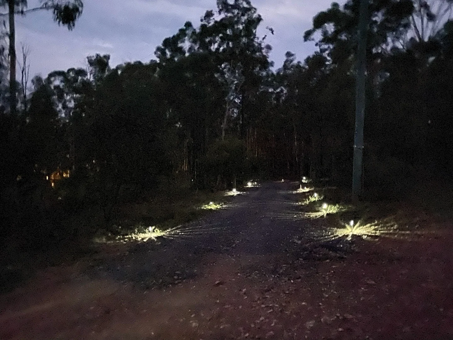 Additional image 23 of Good Night QLD 4671