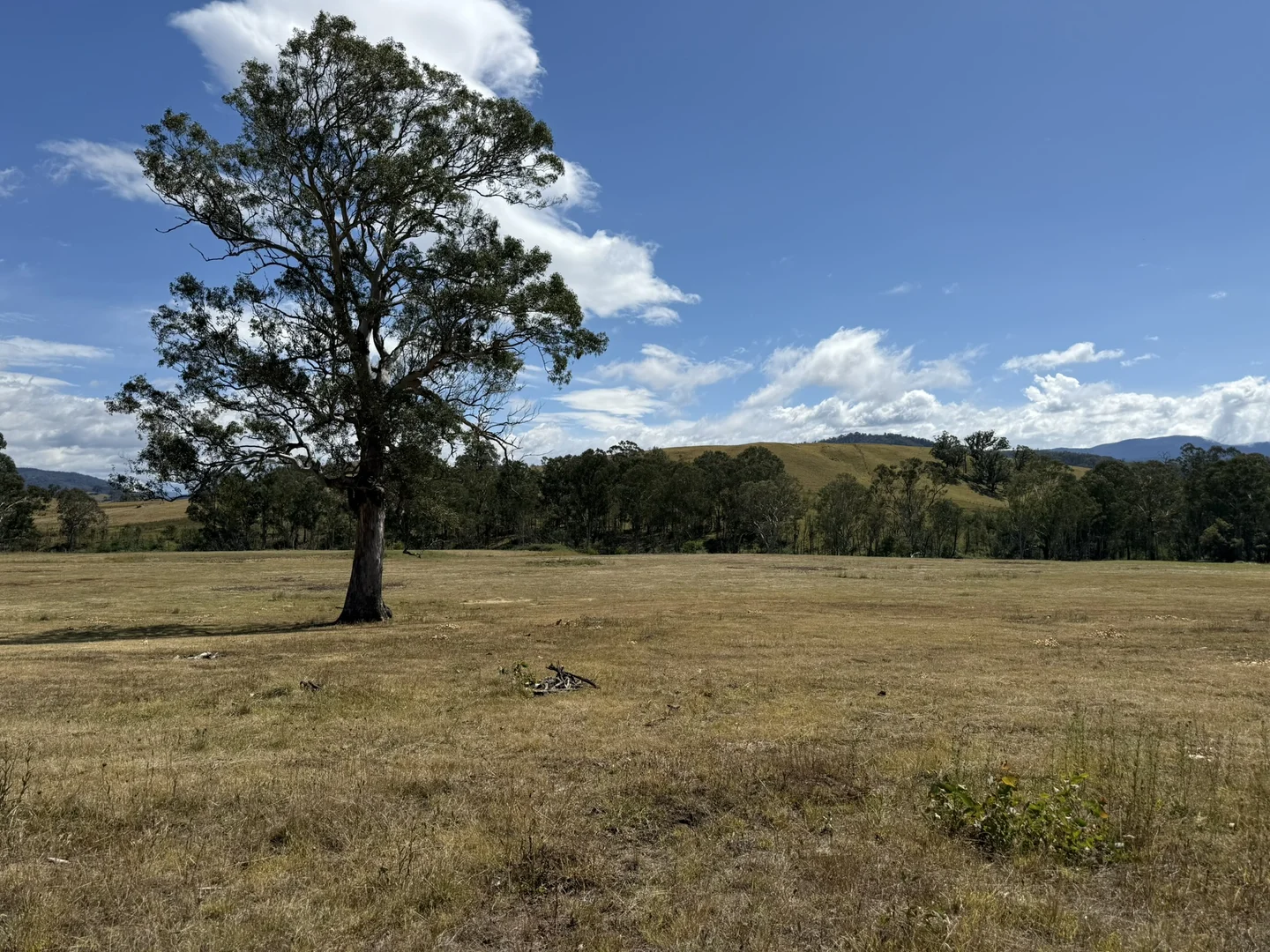 Additional image 22 of 3/1076 Neringla Road, Braidwood NSW 2622