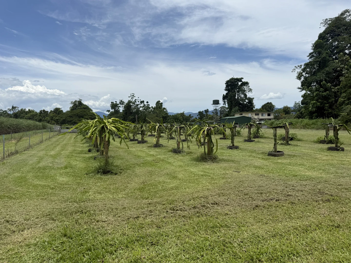 Additional image 4 of Munro Plains QLD 4854