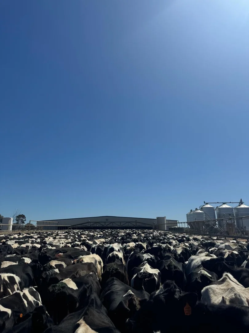 Additional image 12 of 5104B Murray Valley Highway, Castle Donnington VIC 3585