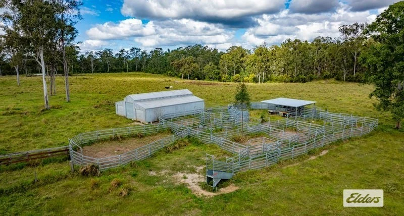 Additional image 18 of 667 Beckmanns Road, Glenwood QLD 4570