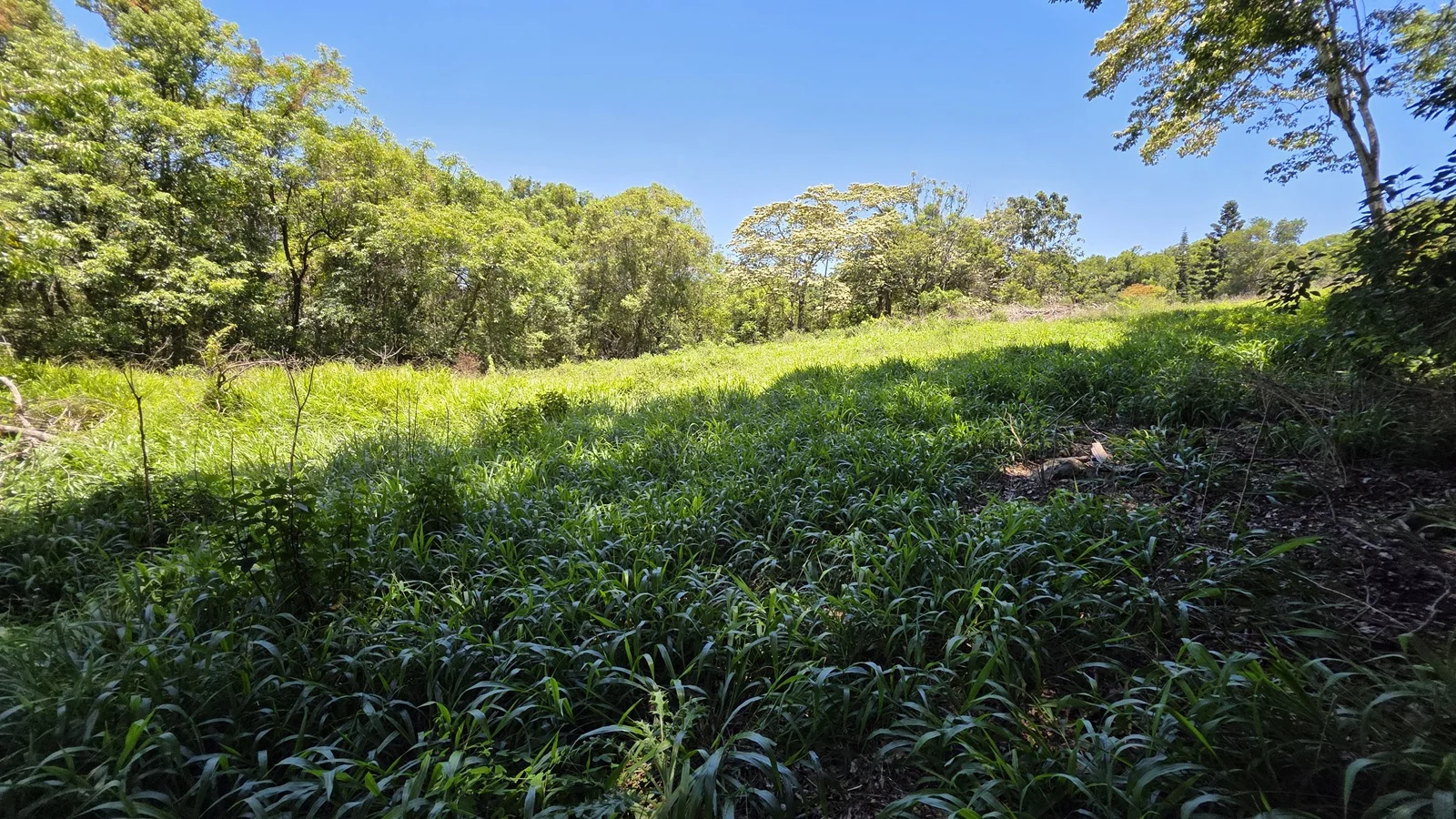 Additional image 6 of 70 North Teven Road, Teven NSW 2478