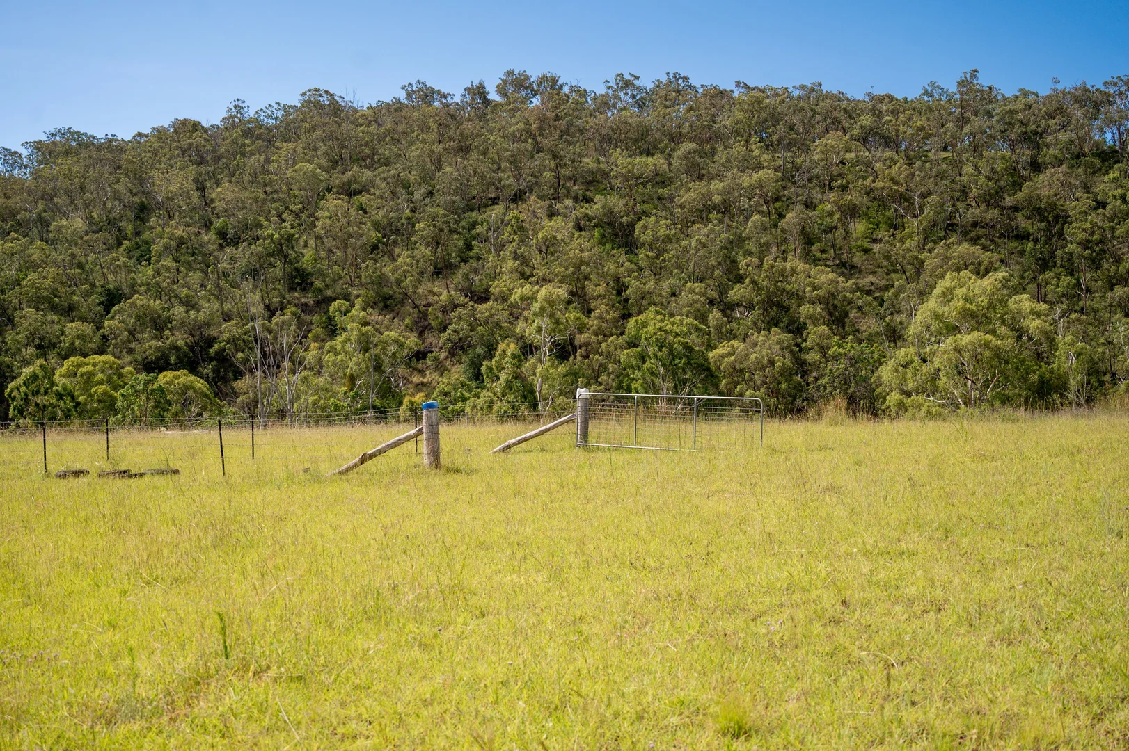 Additional image 21 of 1006 North Branch Road, Goomburra QLD 4362
