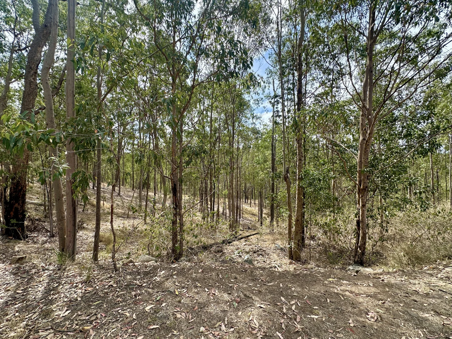 Additional image 5 of 277 Whipbird Drive, Buaraba QLD 4311