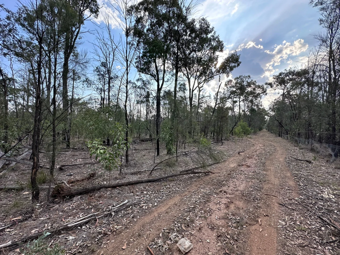 Additional image 16 of 15778 Surat Development Road, Goranba QLD 4421