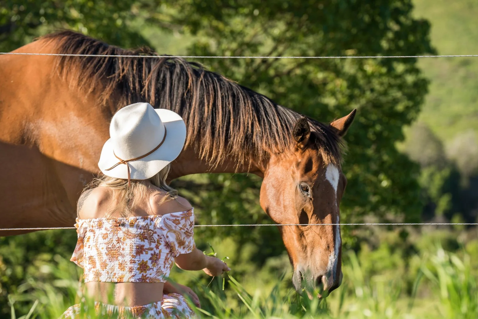 Additional image 4 of 151 Federal Drive, Eureka NSW 2480