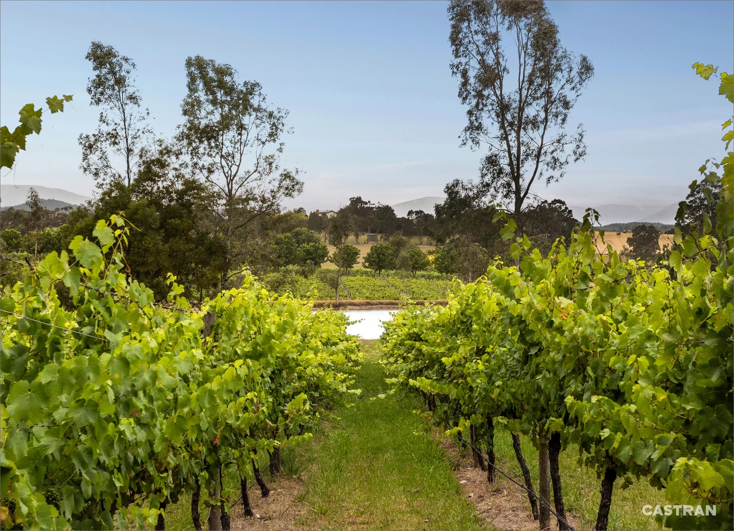 Additional image 10 of 110 Wills Road, Dixons Creek VIC 3775