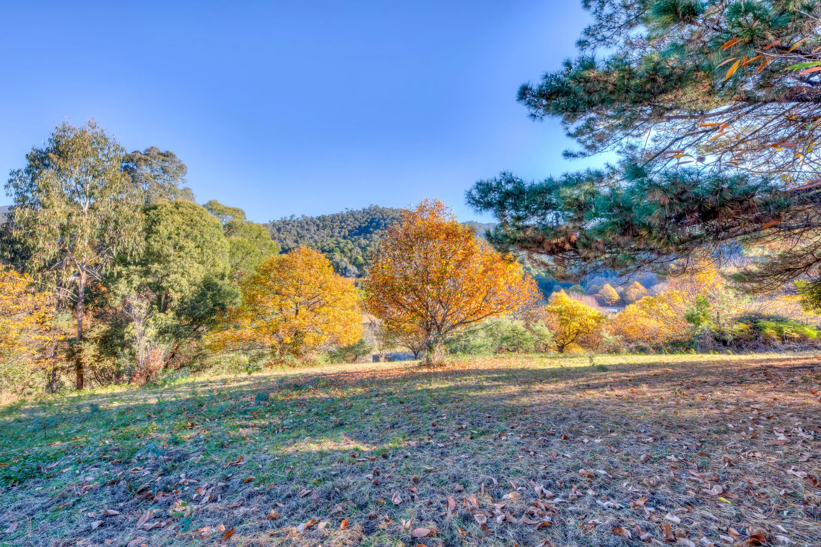 Additional image 7 of 198 Simmonds Creek Road, Tawonga South VIC 3698