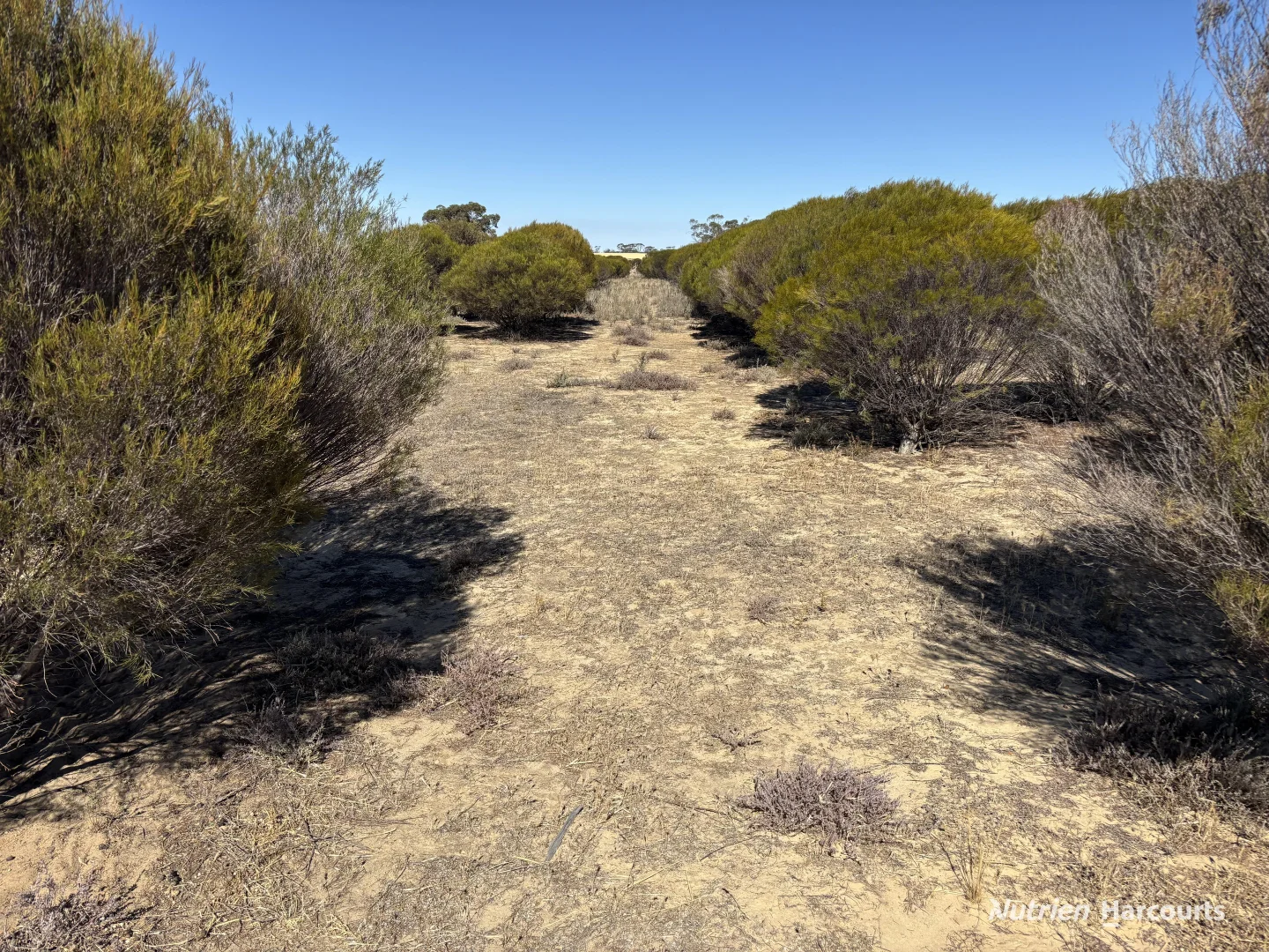 Additional image 12 of . 'Scotts', Yelbeni WA 6487