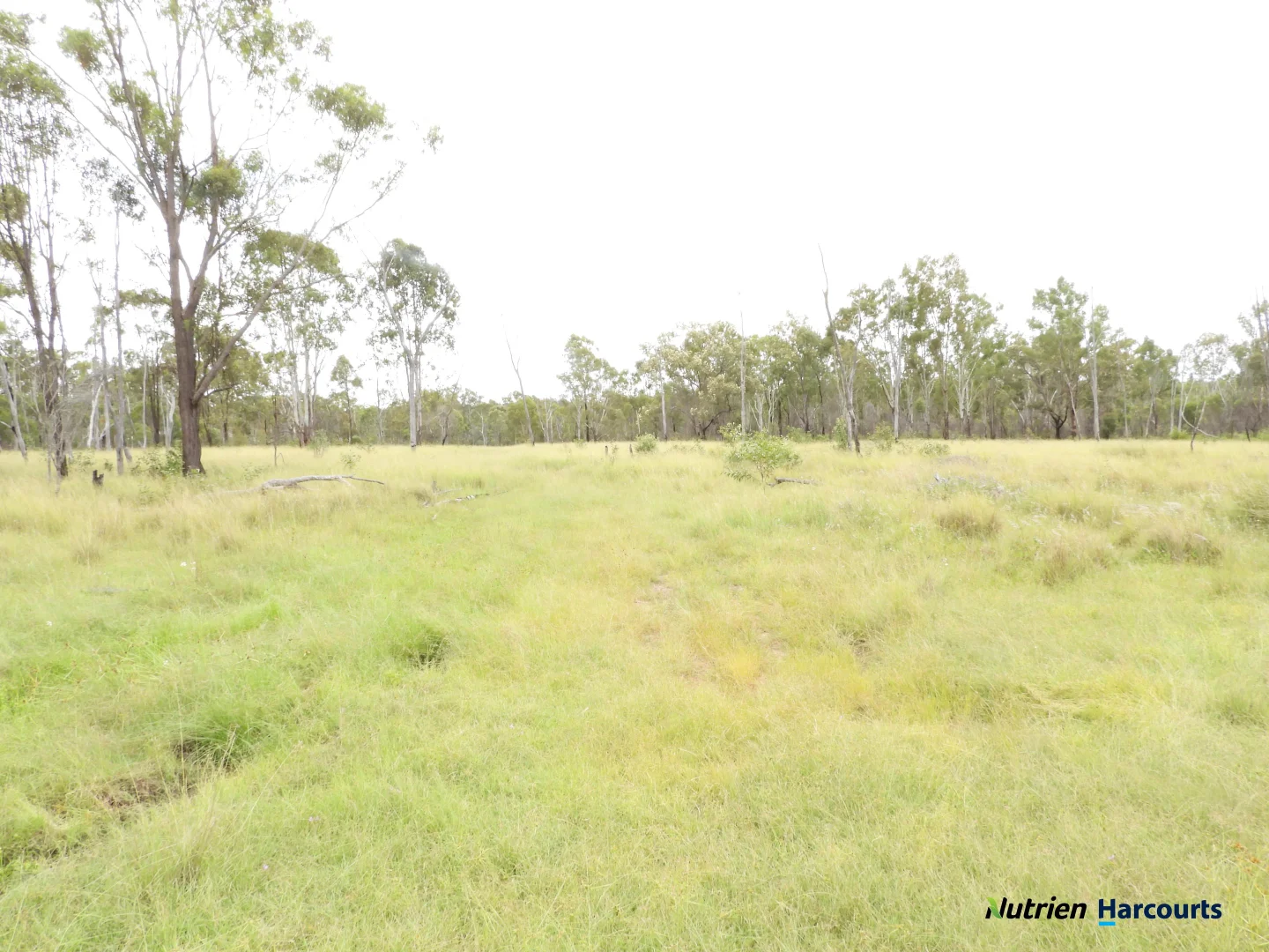 Additional image 28 of 754 Pedersens Road, Dangore QLD 4610