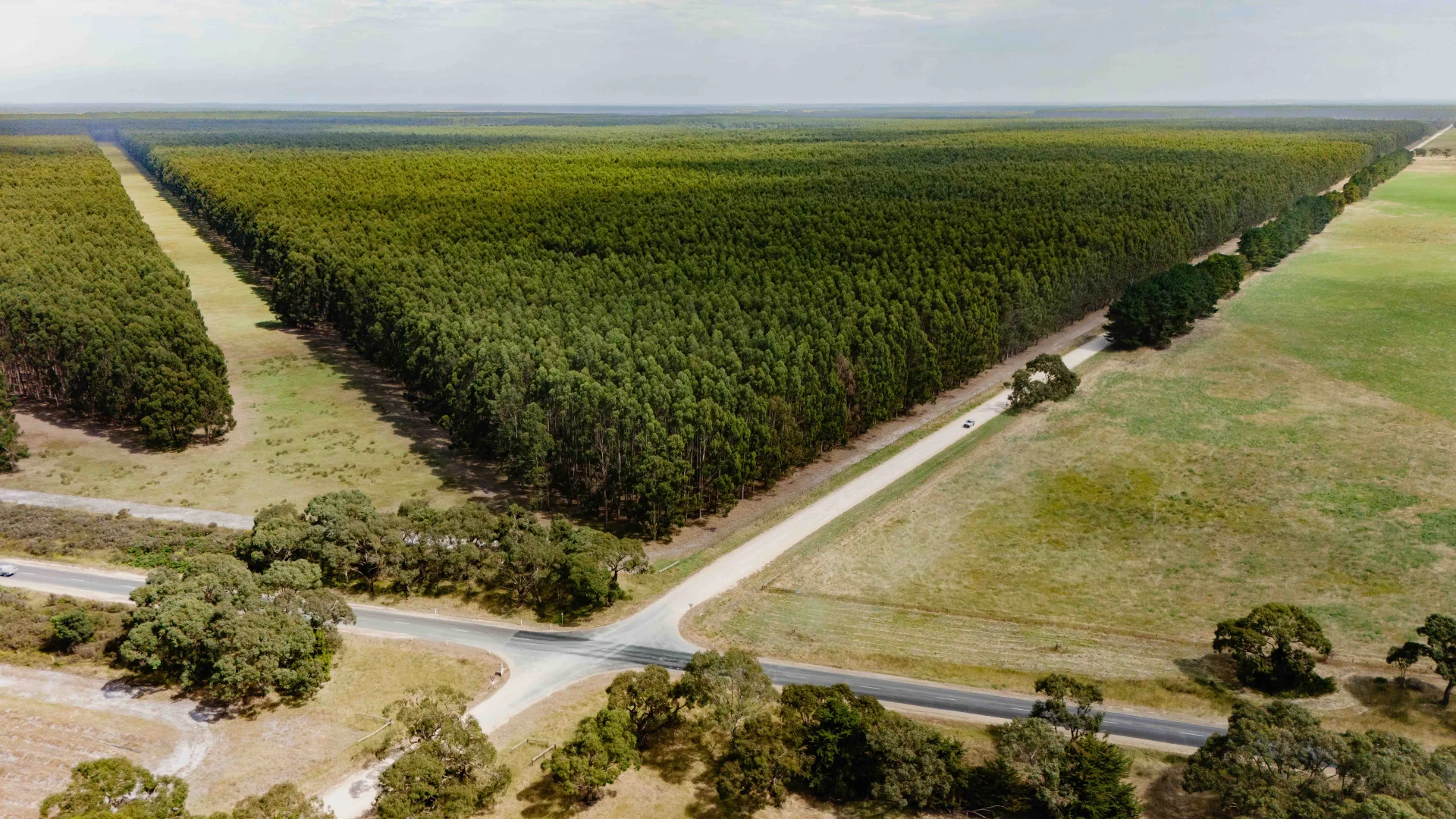 Additional image 2 of Wattle Range SA 5280