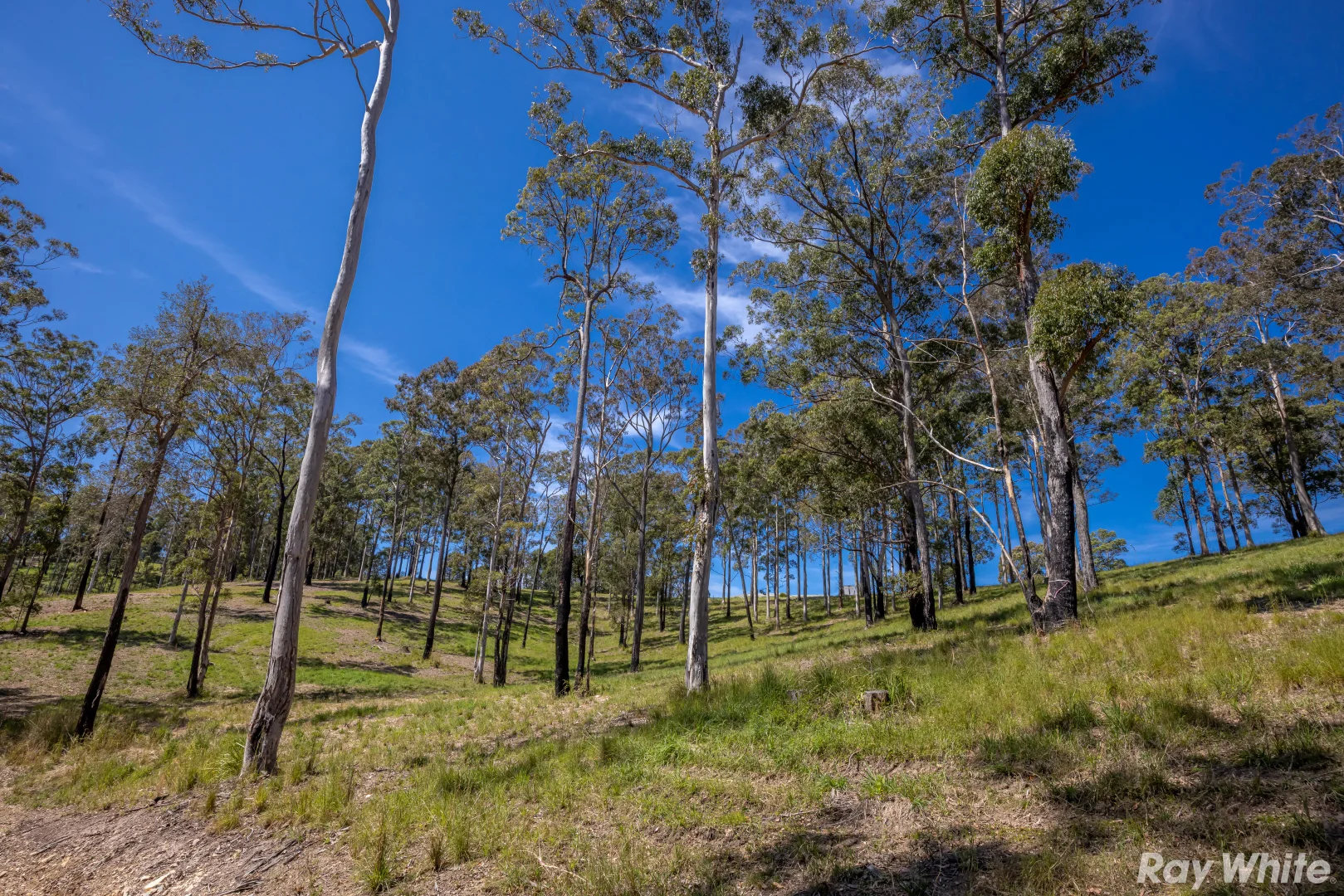 Additional image 3 of Lot 8 Tallwoods Drive 'Summerland Estate', Hallidays Point NSW 2430