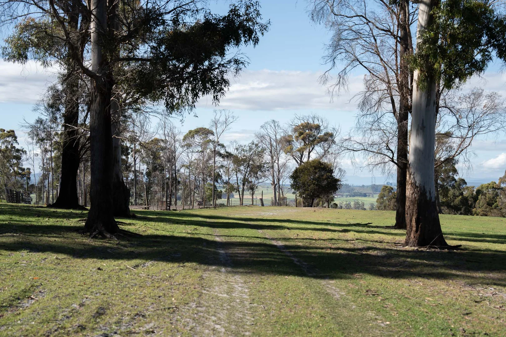 Additional image 7 of 51 Annies Lane, Northdown TAS 7307