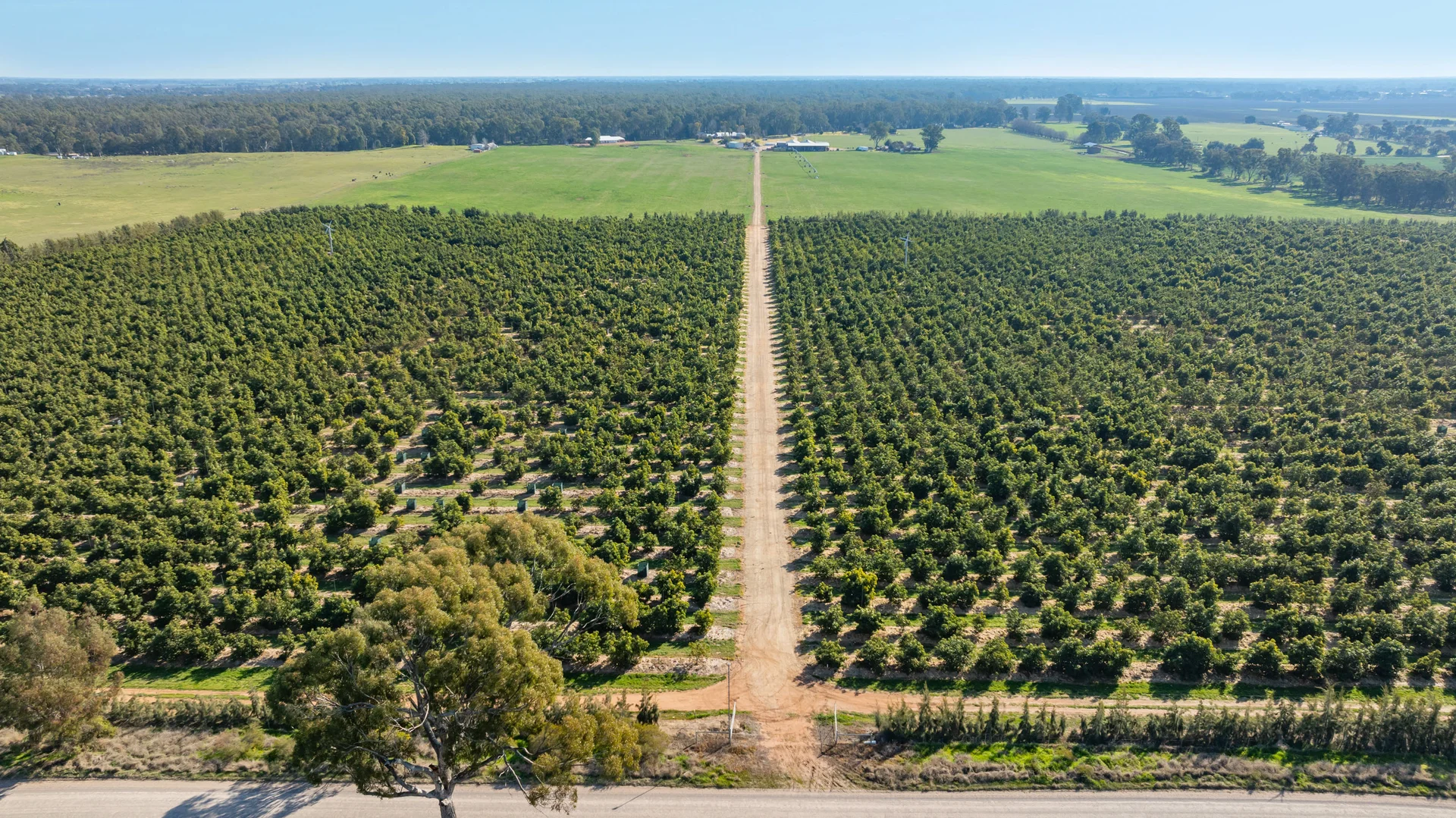 Additional image 7 of Sepelts Road, Barooga NSW 3644