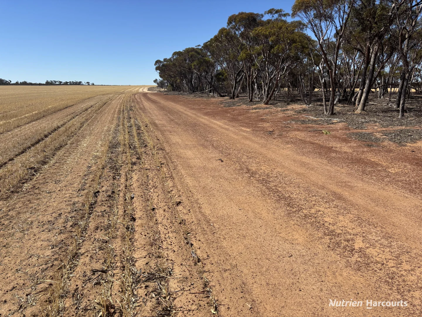 Additional image 4 of . 'Scotts', Yelbeni WA 6487