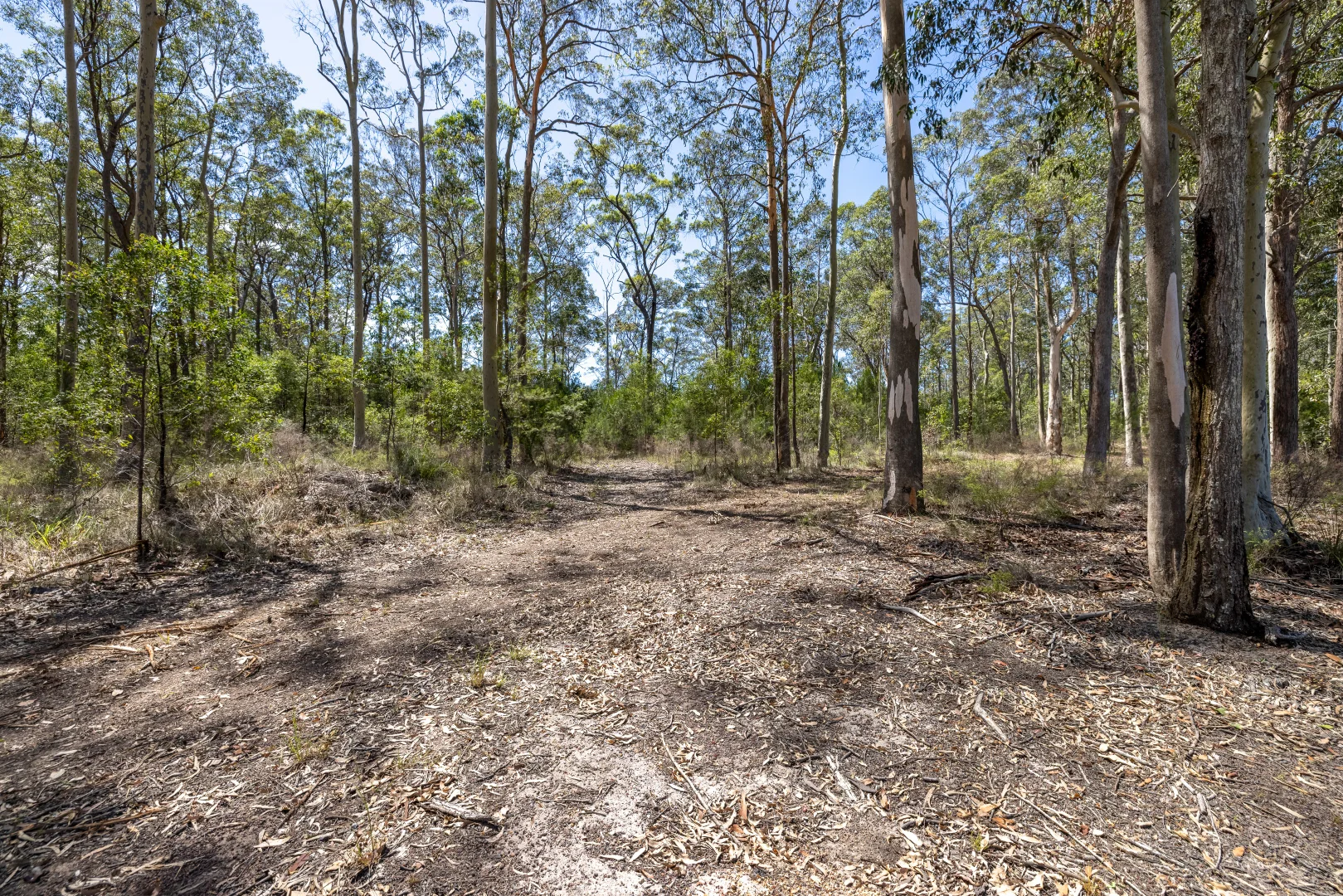 Additional image 4 of Lot 26 Warrina Circuit, Minimbah NSW 2312