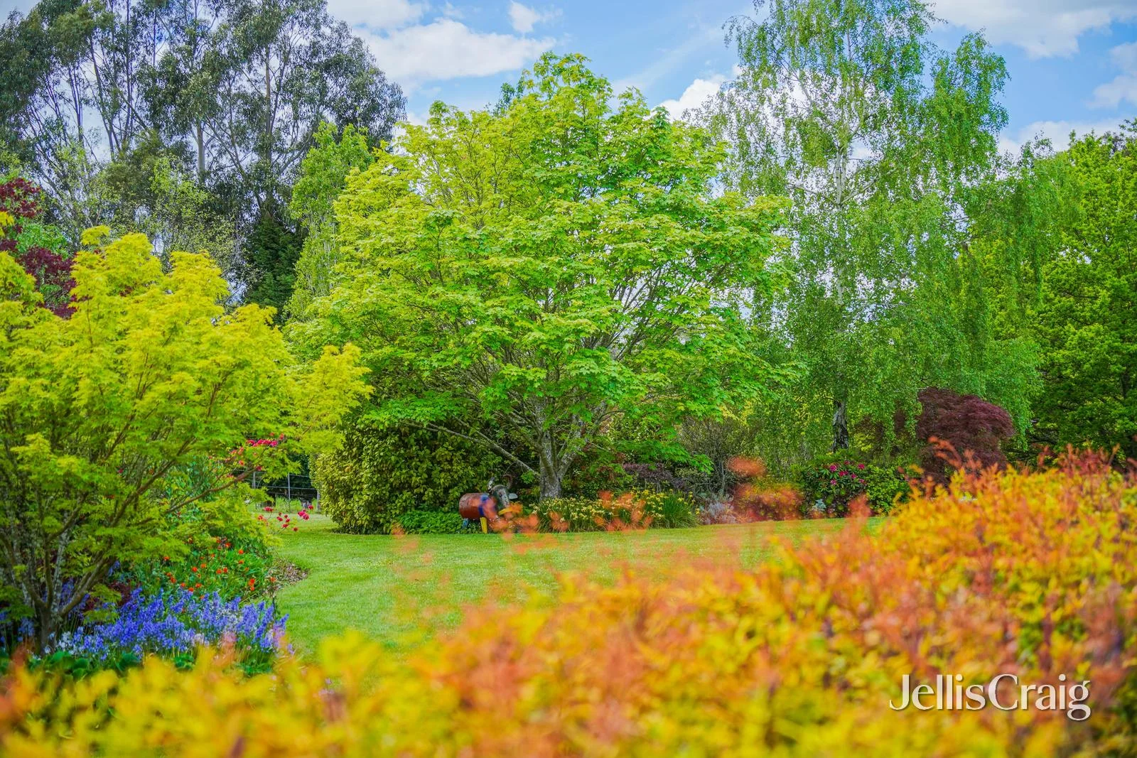 Additional image 15 of 431 Springhill Road, Spring Hill VIC 3444