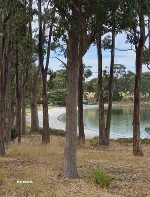 Additional image 16 of 9 Cathkit Street, Southport TAS 7109