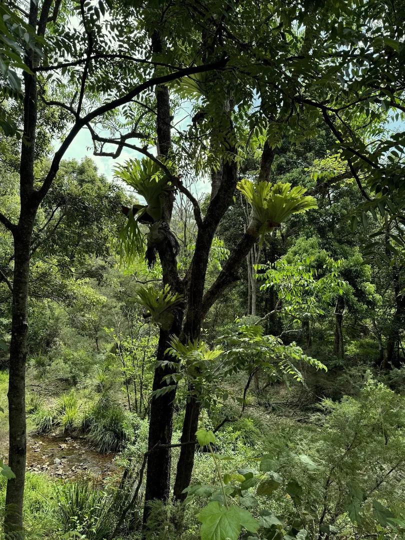 Additional image 33 of 5 Tanby Court, Mudgeeraba QLD 4213